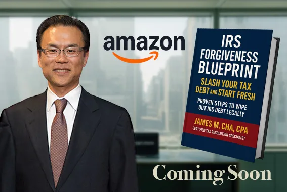 IRS Forgiveness Blueprint